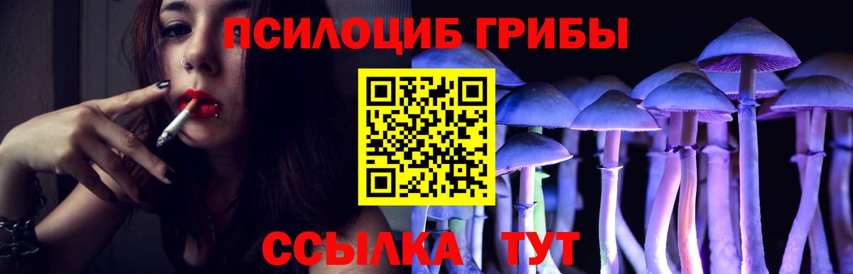 Гулькевичи  Галлюциногенные грибы Magic Shrooms  Вход с VPN  Галлюциногенные грибы Psilocybine cubensis 